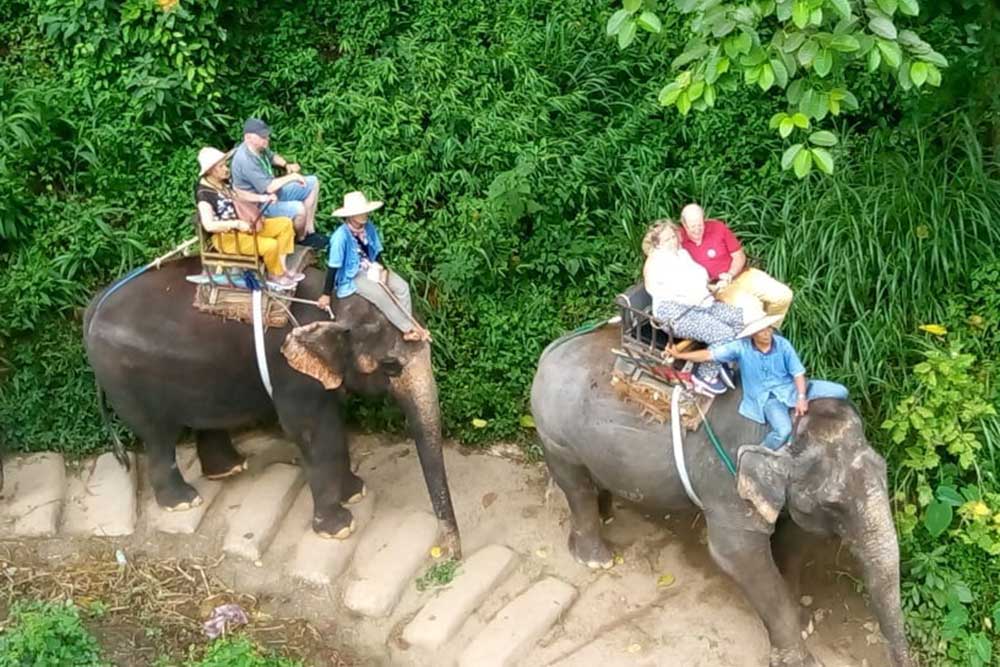 Elephant Ride