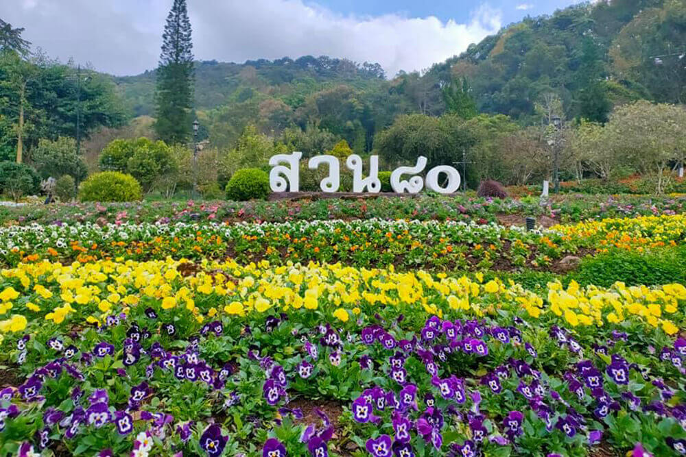 Angkhang Garden
