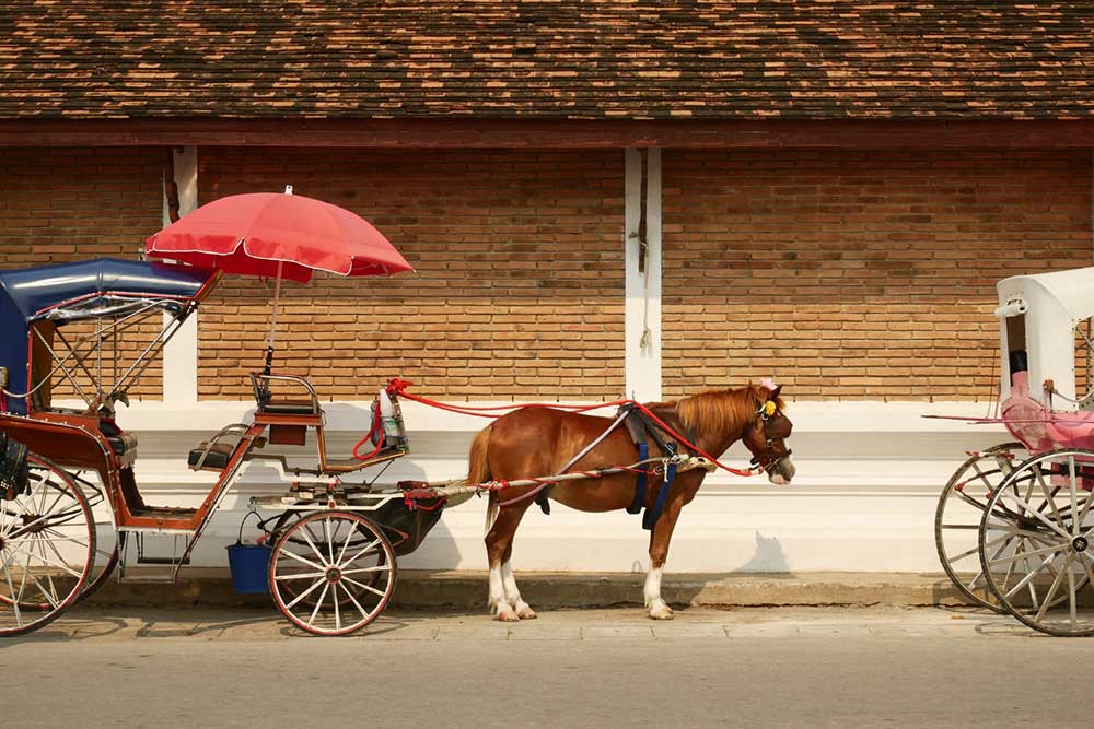 Horse Carriage