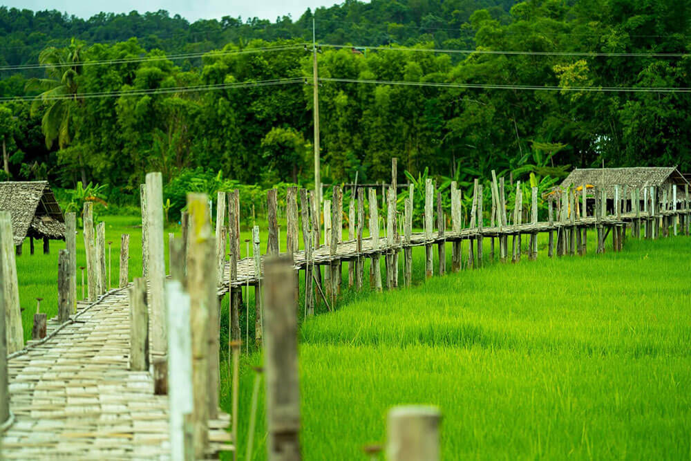 Bamboo Bridge